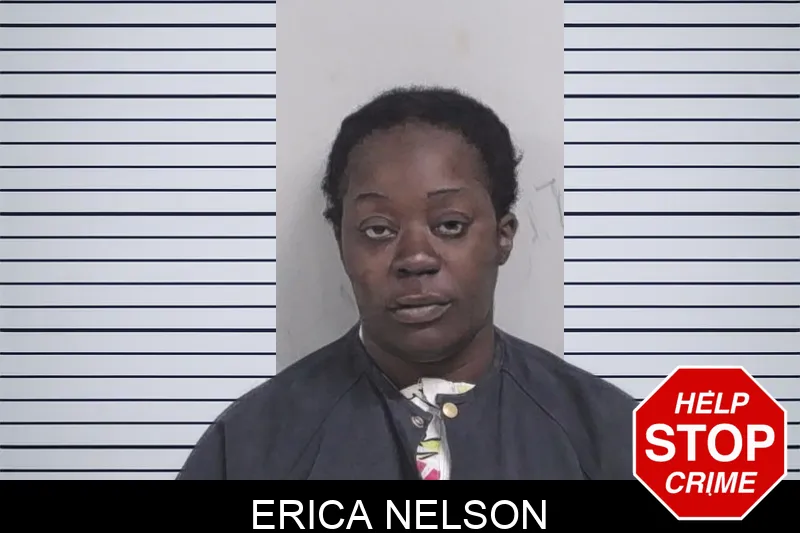 Erica Nelson Mugshots