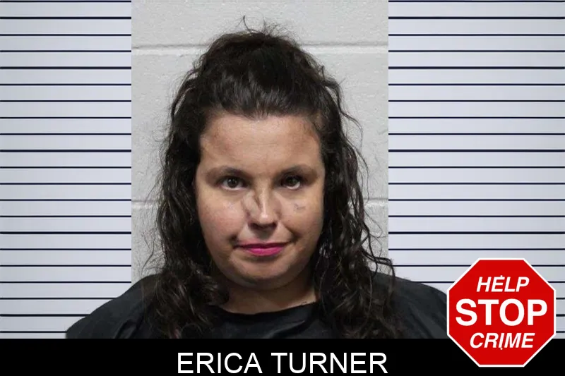 Erica Turner Mugshots