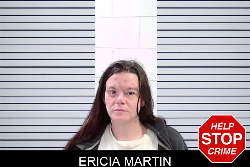 Ericia Martin Mugshots