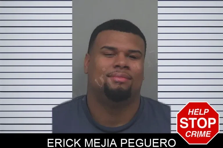 Erick Mejia Peguero