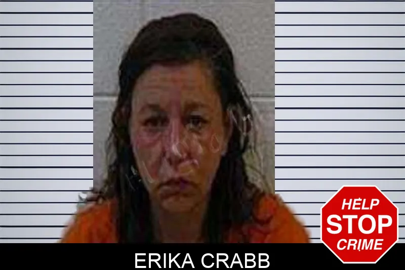Erika Crabb Mugshots