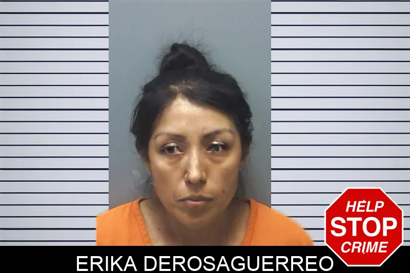 Erika Derosaguerreo Mugshots
