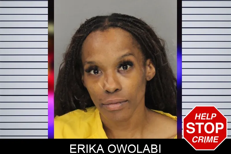 Erika Owolabi mugshot – Cobb County , Georgia Erika Owolabi mugshot