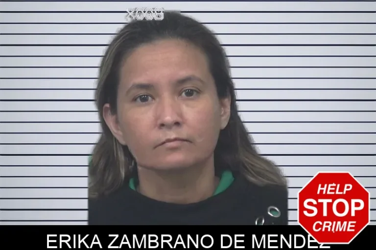 Erika Zambrano De Mendez