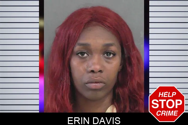 Erin Davis Mugshots