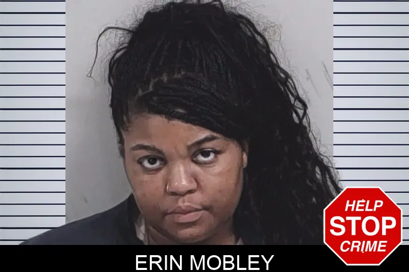Erin Mobley Mugshots