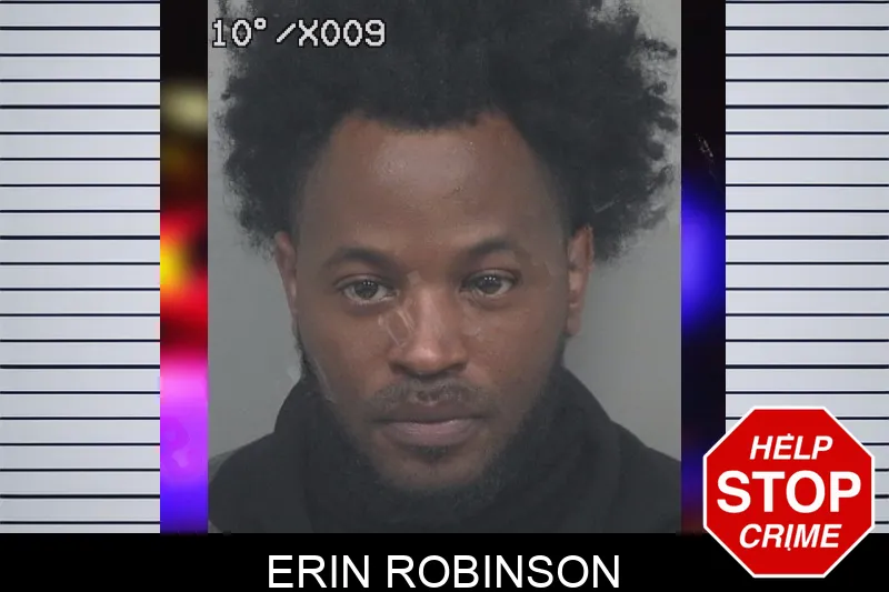 Erin Robinson Mugshots