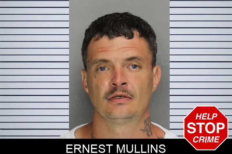 Ernest Mullins Mugshots