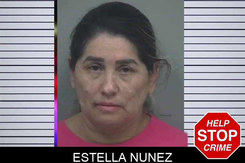 Estella Nunez Mugshots