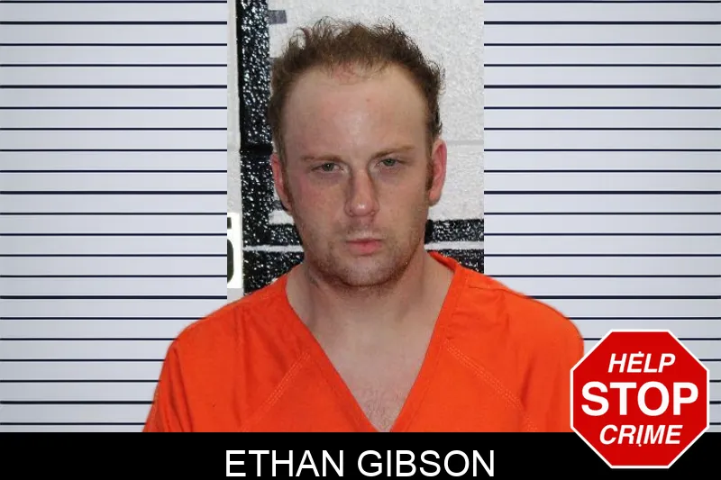 Ethan Gibson Mugshots