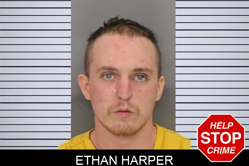 Ethan Harper Mugshots