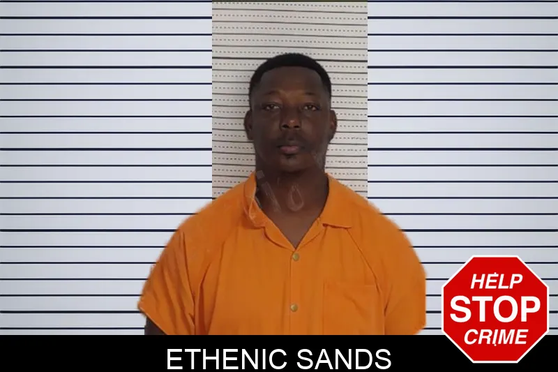 Ethenic Sands Mugshots