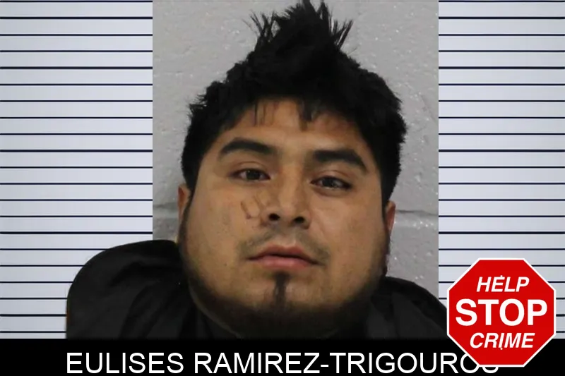 Eulises Ramirez-Trigouros Mugshots