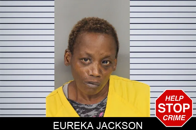 Eureka Jackson mugshot – Cobb County , Georgia Eureka Jackson mugshot