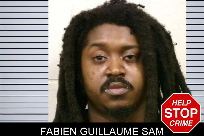 Fabien Guillaume Sam