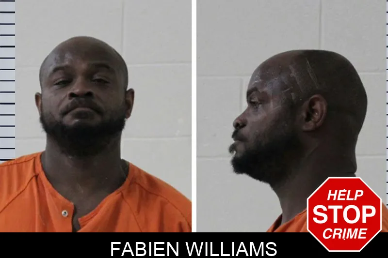 Fabien Williams Mugshots