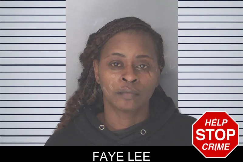 Faye Lee Mugshots