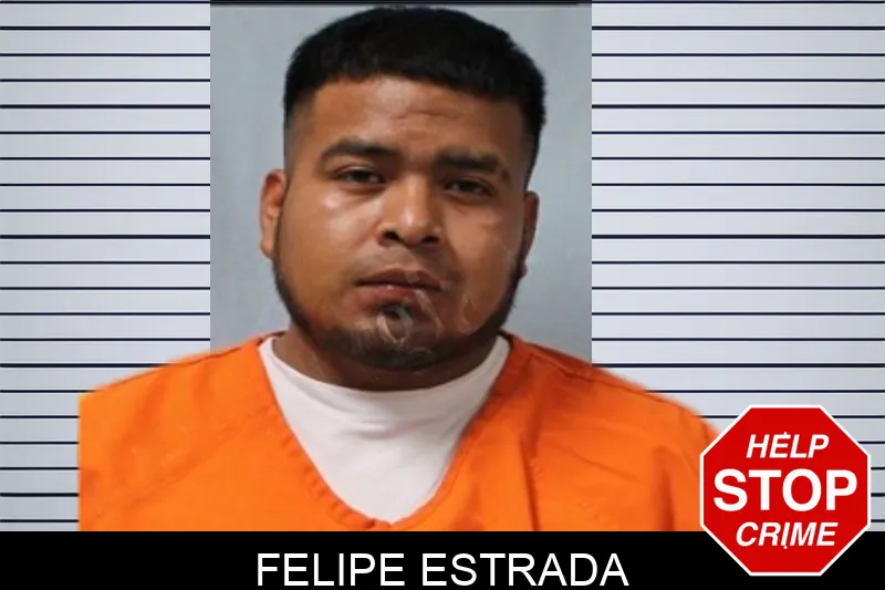 Felipe Estrada Mugshots