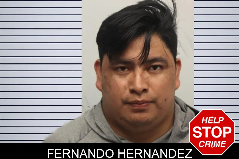 Fernando Hernandez mugshot