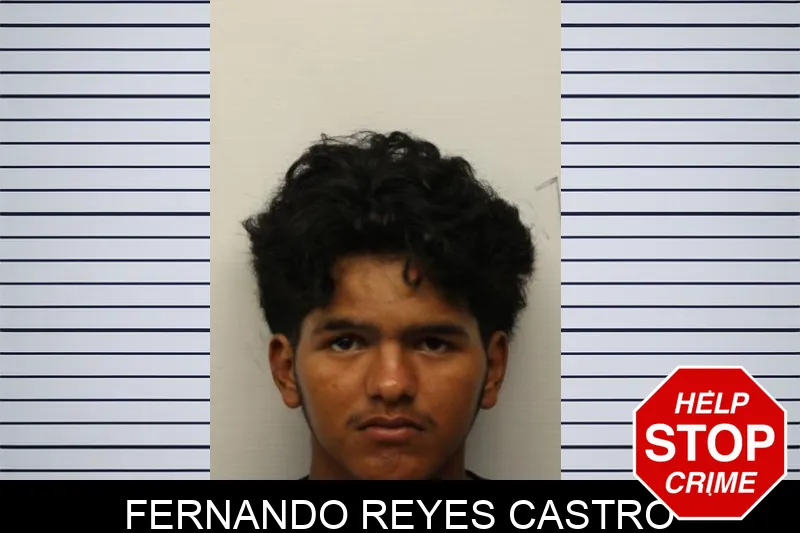 Fernando Reyes Castro mugshot