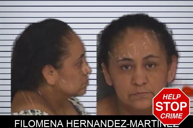 Filomena Hernandez-Martinez Mugshots