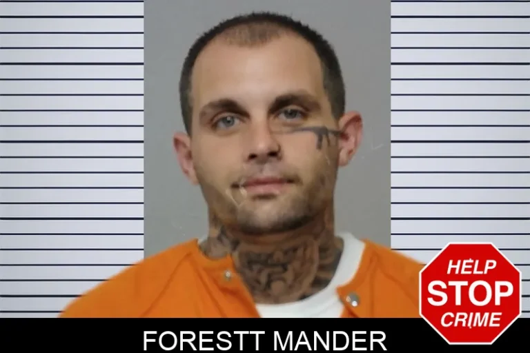 Forestt Mander