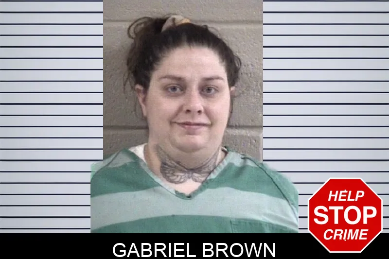 Gabriel Brown mugshot – Whitfield County , Georgia Gabriel Brown mugshot