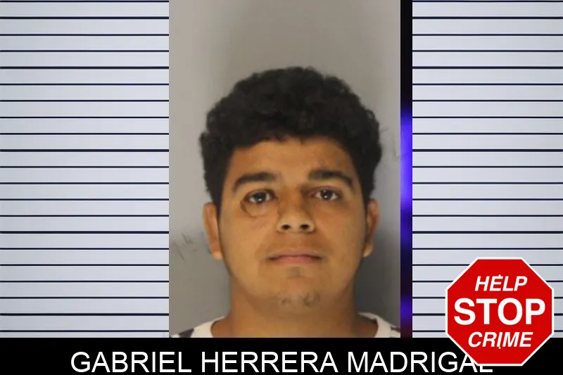 Gabriel Herrera Madrigal mugshot – Hall County , Georgia Gabriel Herrera Madrigal mugshot