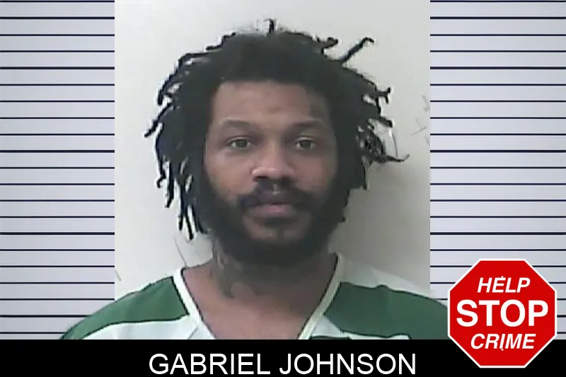 Gabriel Johnson mugshot