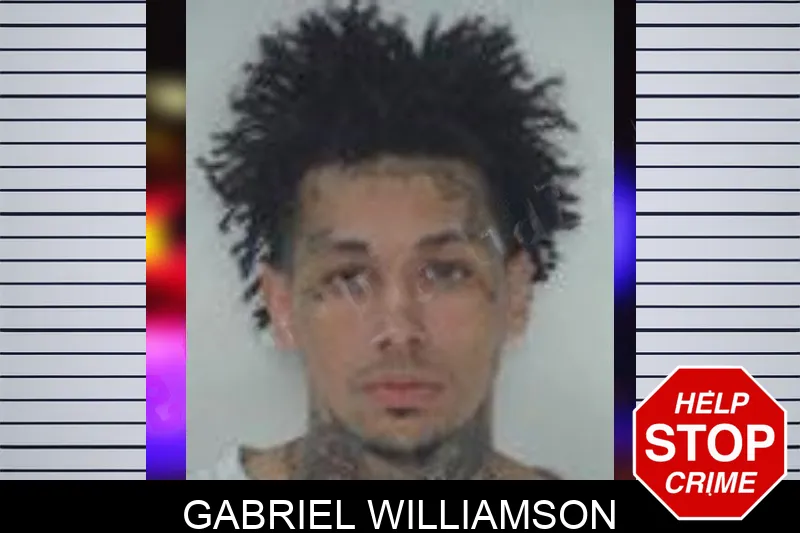 Gabriel Williamson Mugshots