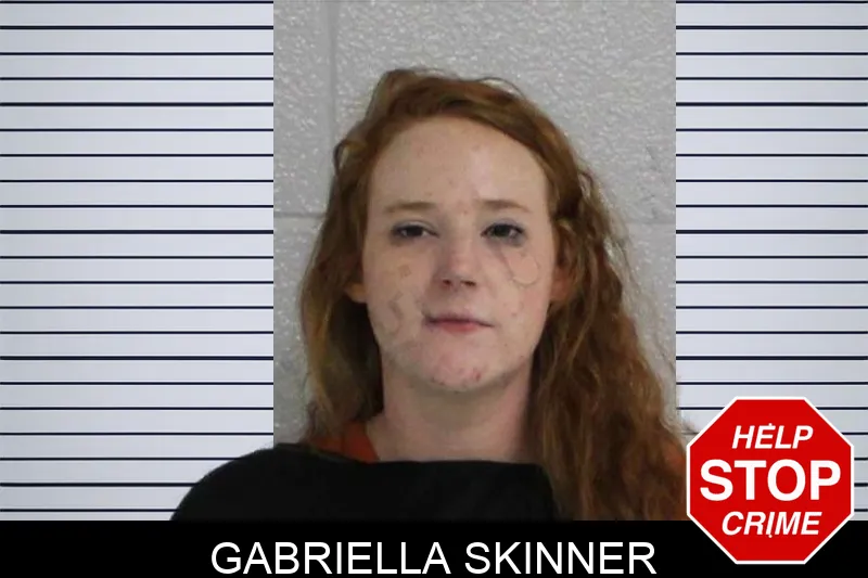 Gabriella Skinner mugshot – Carroll County , Georgia Gabriella Skinner mugshot