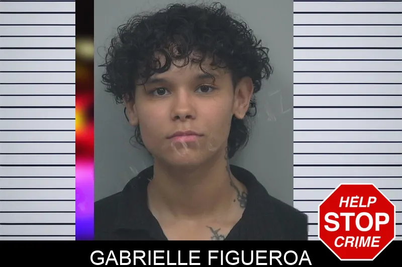 Gabrielle Figueroa Mugshots