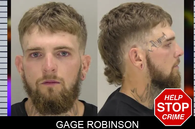 Gage Robinson mugshot