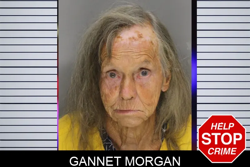 Gannet Morgan Mugshots