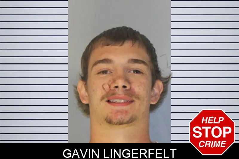 Gavin Lingerfelt Mugshots