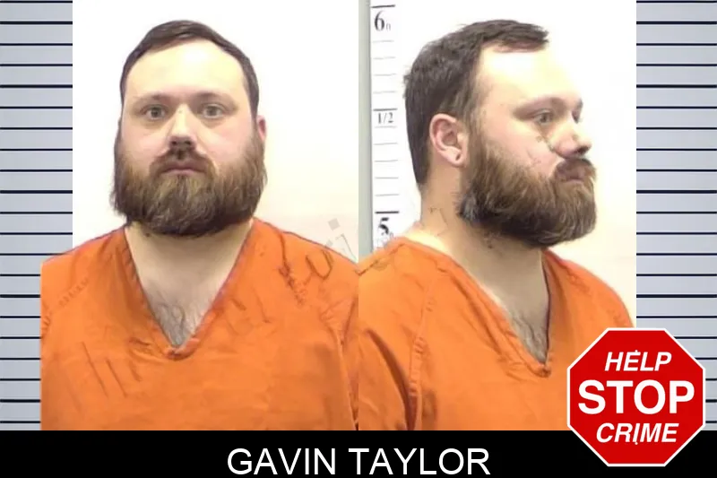 Gavin Taylor Mugshots