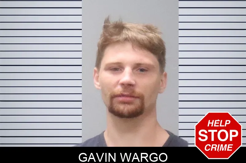 Gavin Wargo mugshot