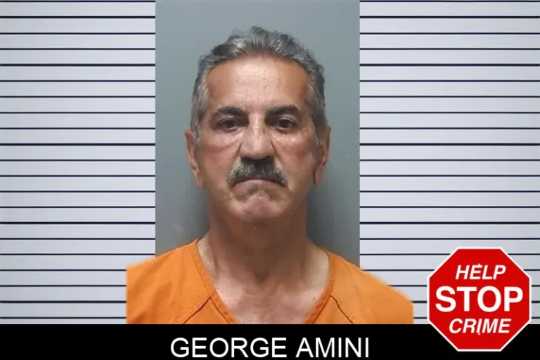 George Amini mugshot – Cherokee County , Georgia George Amini