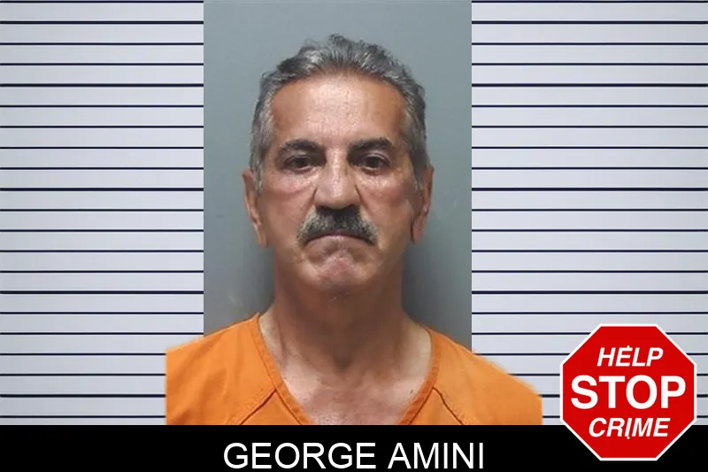 George Amini mugshot