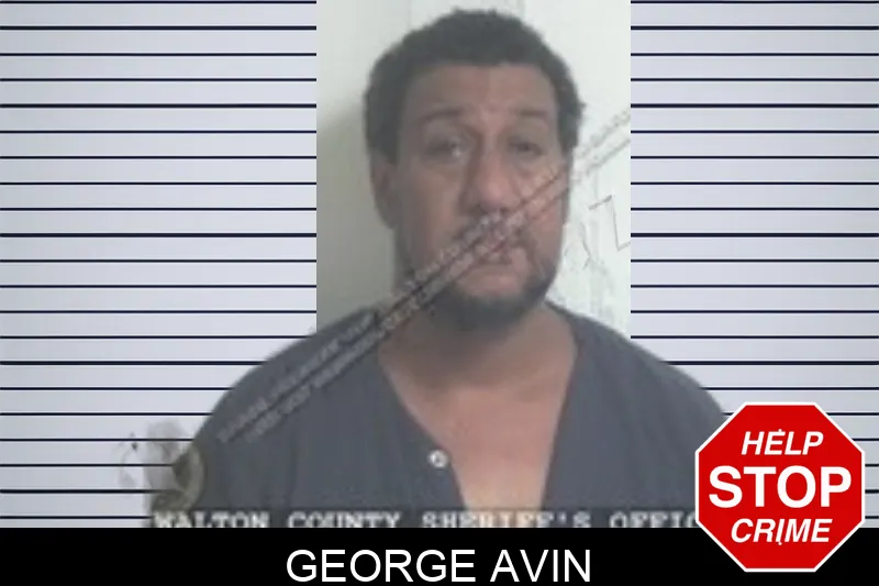 George Avin Mugshots