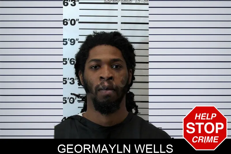Geormayln Wells Mugshots