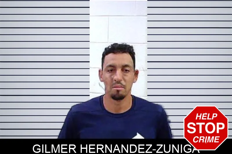 Gilmer Hernandez-Zuniga Mugshots