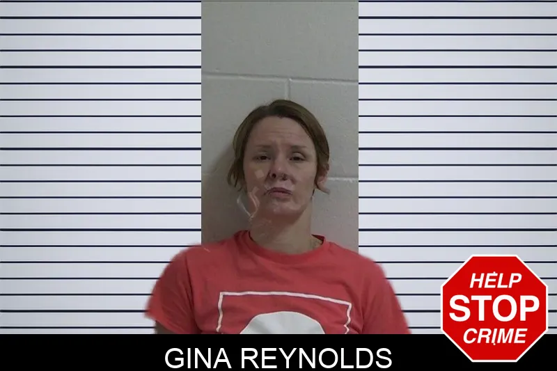 Gina Reynolds Mugshots
