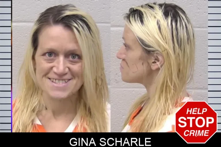 Gina Scharle mugshot – Paulding County , Georgia Gina Scharle