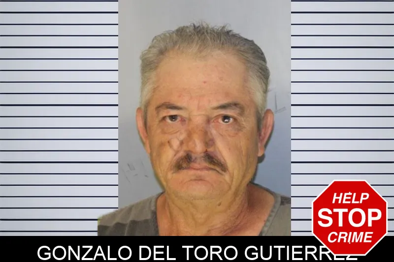 Gonzalo Del Toro Gutierrez