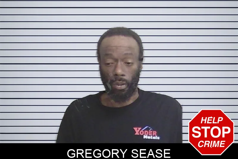 Gregory Sease mugshot – Wayne County , Georgia Gregory Sease mugshot