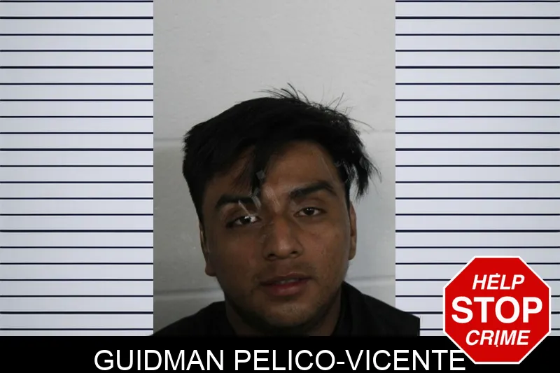 Guidman Pelico-Vicente Mugshots