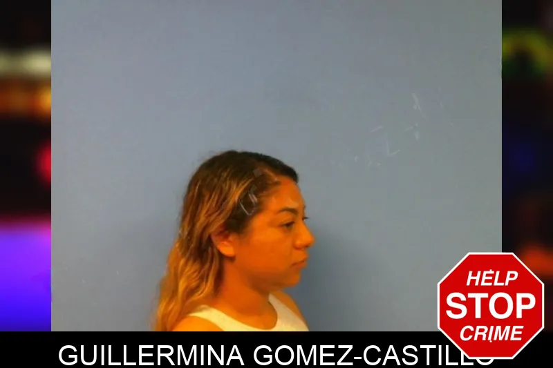 Guillermina Gomez-Castillo mugshot
