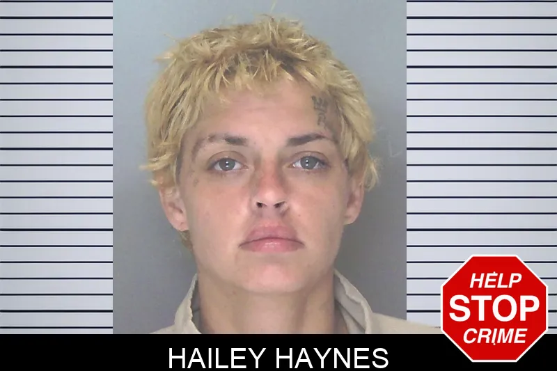 Hailey Haynes mugshot