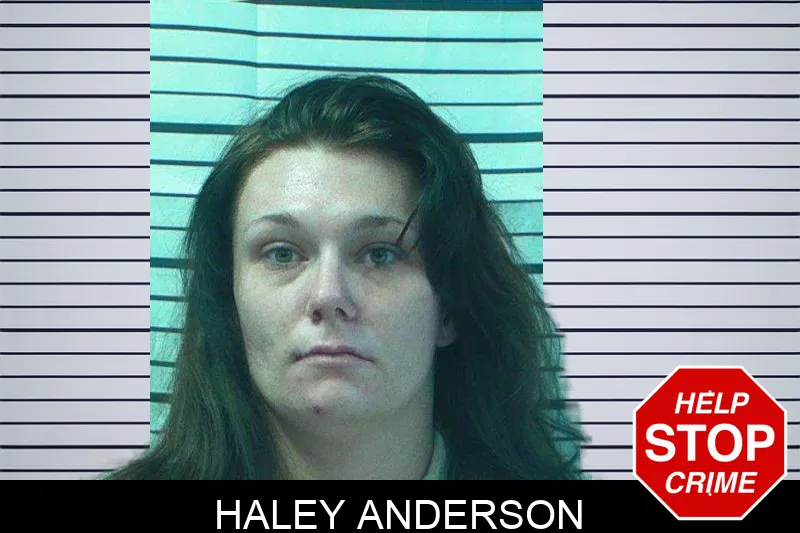 Haley Anderson Mugshots